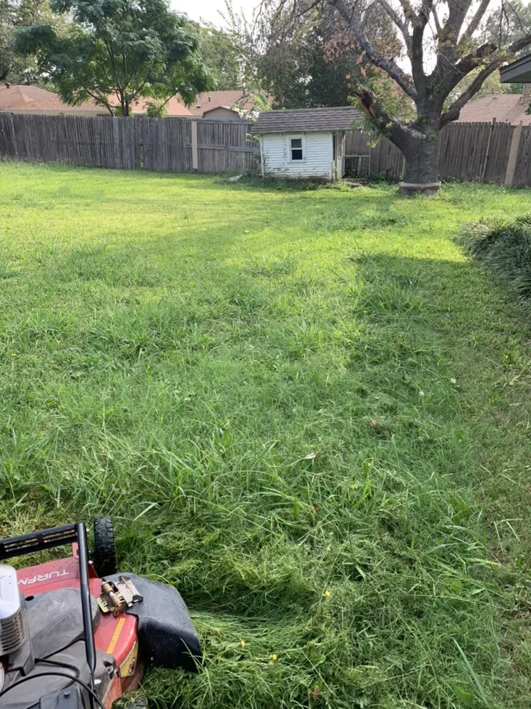 Custom yard maintenance experts serving Midlothian, TX - Clegg Royal Landscaping