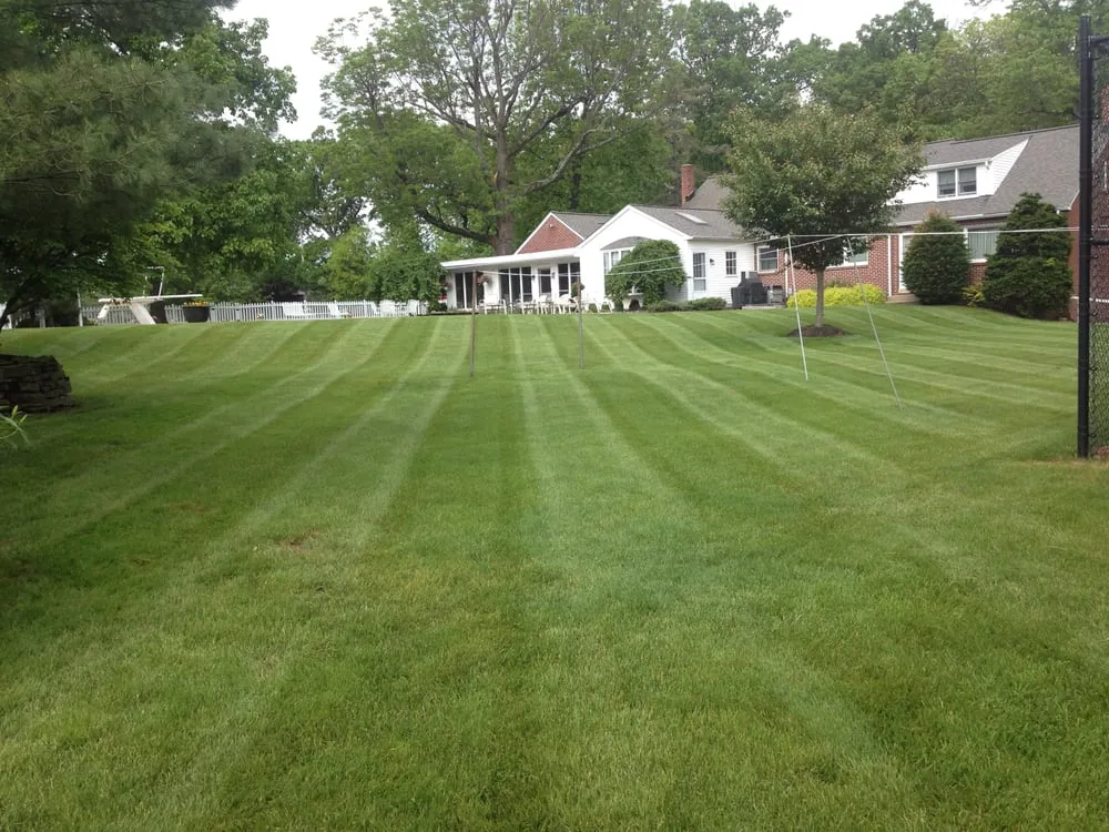 Local yard cleanup service for year-round maintenance across Harleysville, PA - Clemens Outdoors