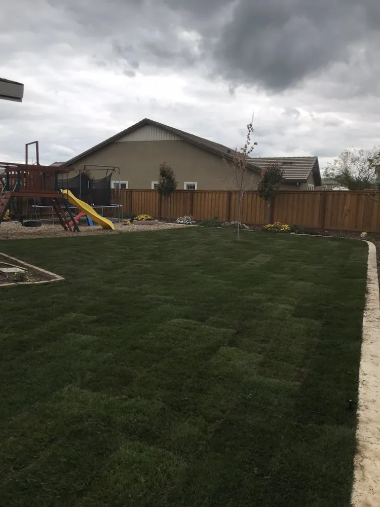 Top-rated yard cleanup service experts serving Sacramento, CA - Clement Landscape Service