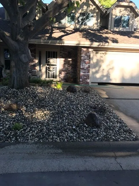 Local lawn care service in Sacramento, CA - Clement Landscape Service