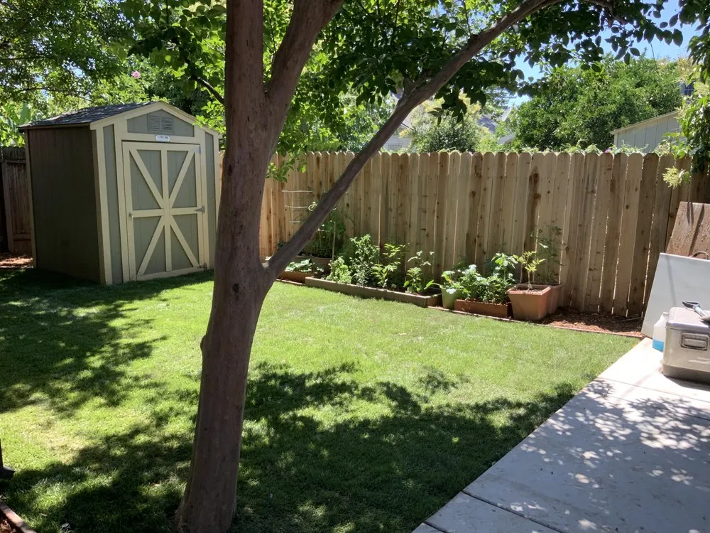 Professional yard cleanup service experts serving Sacramento, CA - Clement Landscape Service