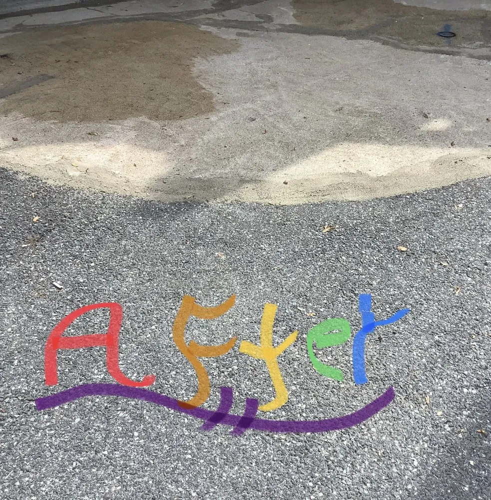 Trusted yard maintenance experts serving Long Valley, NJ - Clementine's Maintenance and Services