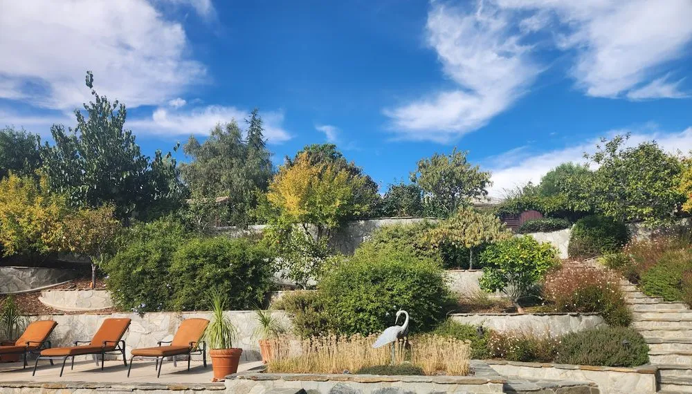 Affordable outdoor landscaping experts serving Rancho Cucamonga, CA - Clements Landscape and Pool Construction