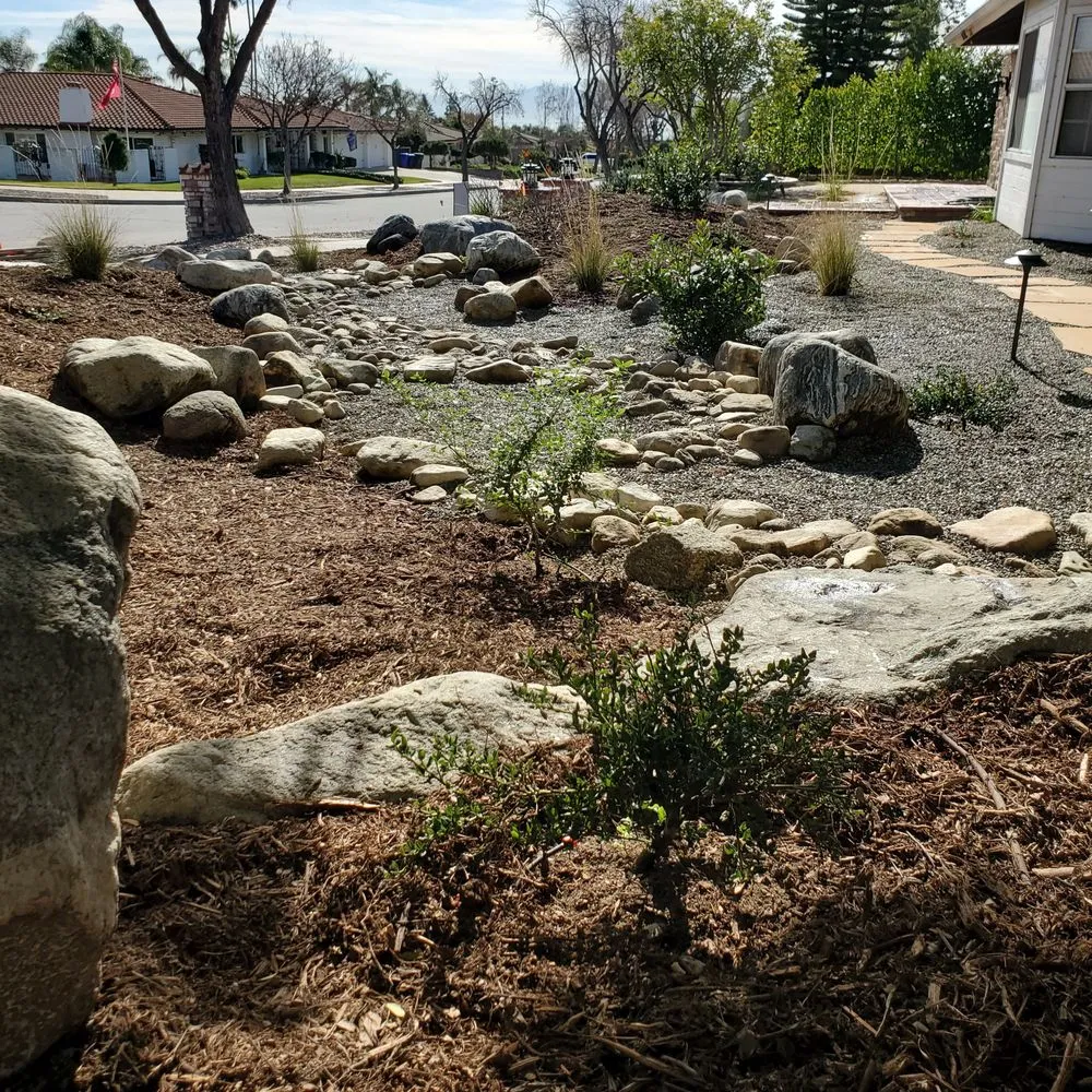 Reliable yard cleanup service experts serving Rancho Cucamonga, CA - Clements Landscape and Pool Construction