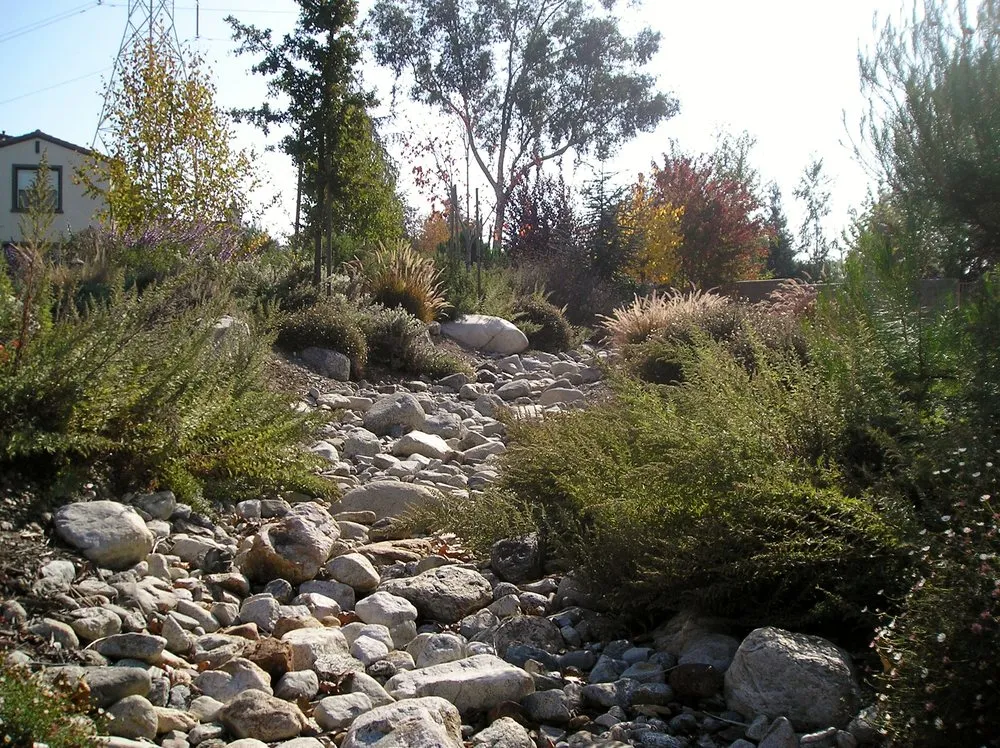 Custom outdoor landscaping for residential properties in Rancho Cucamonga, CA by Clements Landscape and Pool Construction