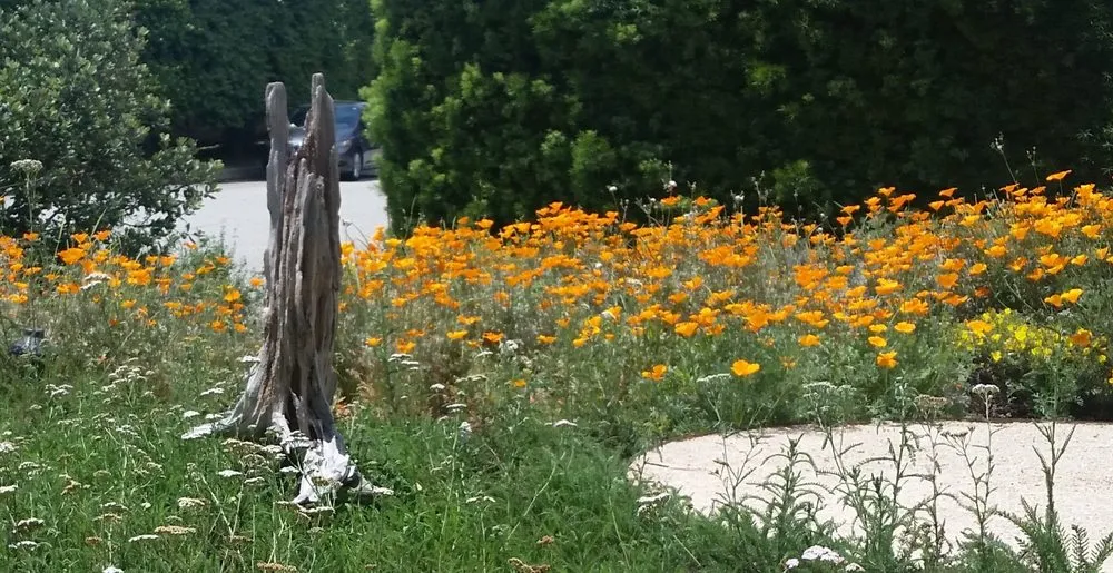 Trusted landscape design for residential properties across Rancho Cucamonga, CA - Clements Landscape and Pool Construction