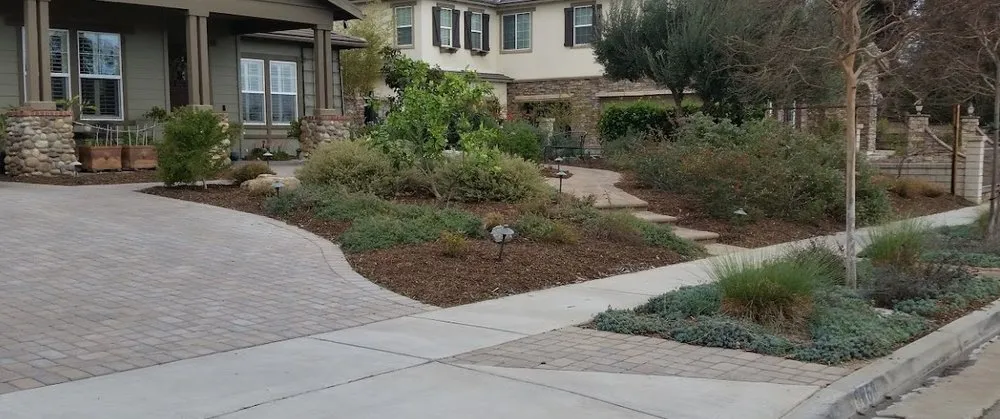 Expert yard cleanup service in Rancho Cucamonga, CA - Clements Landscape and Pool Construction