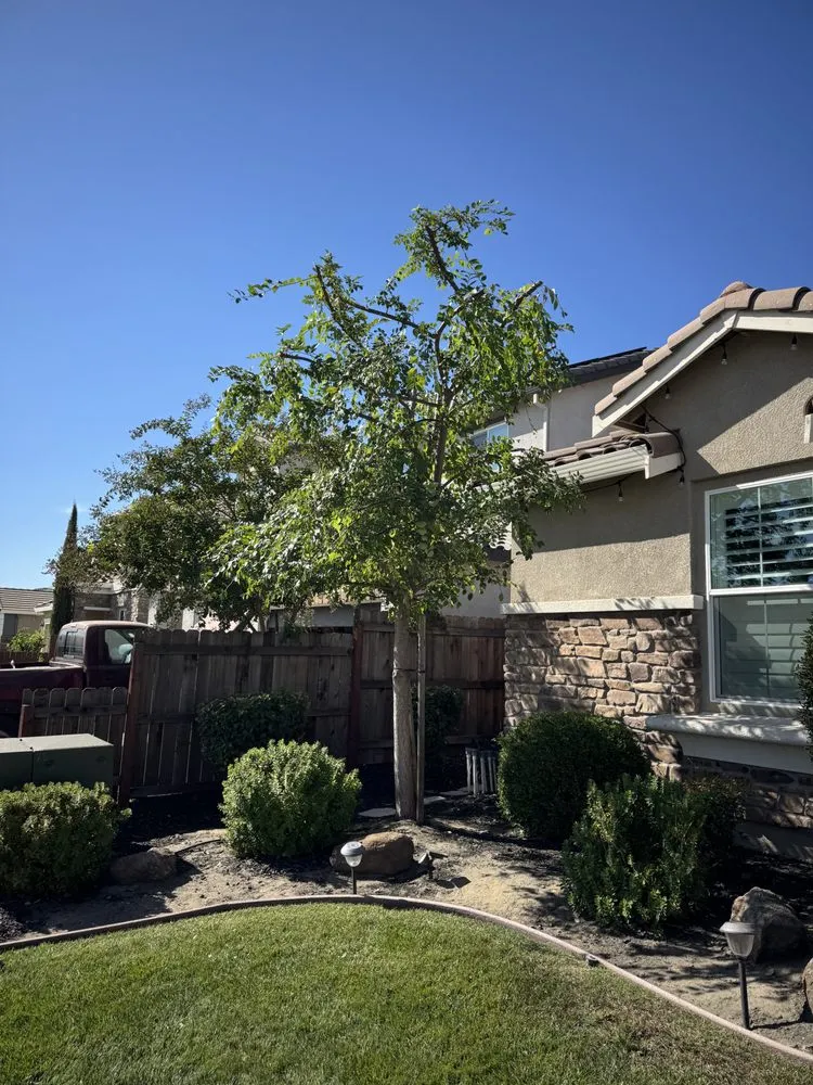 Custom lawn mowing service in Lodi, CA by Clements Lawn Service & Maintenance