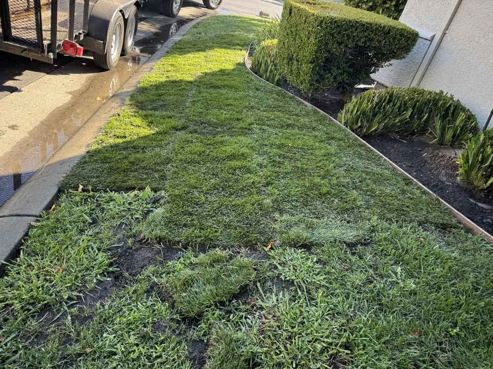 Affordable lawn care service for outdoor upgrades across Lodi, CA - Clements Lawn Service & Maintenance