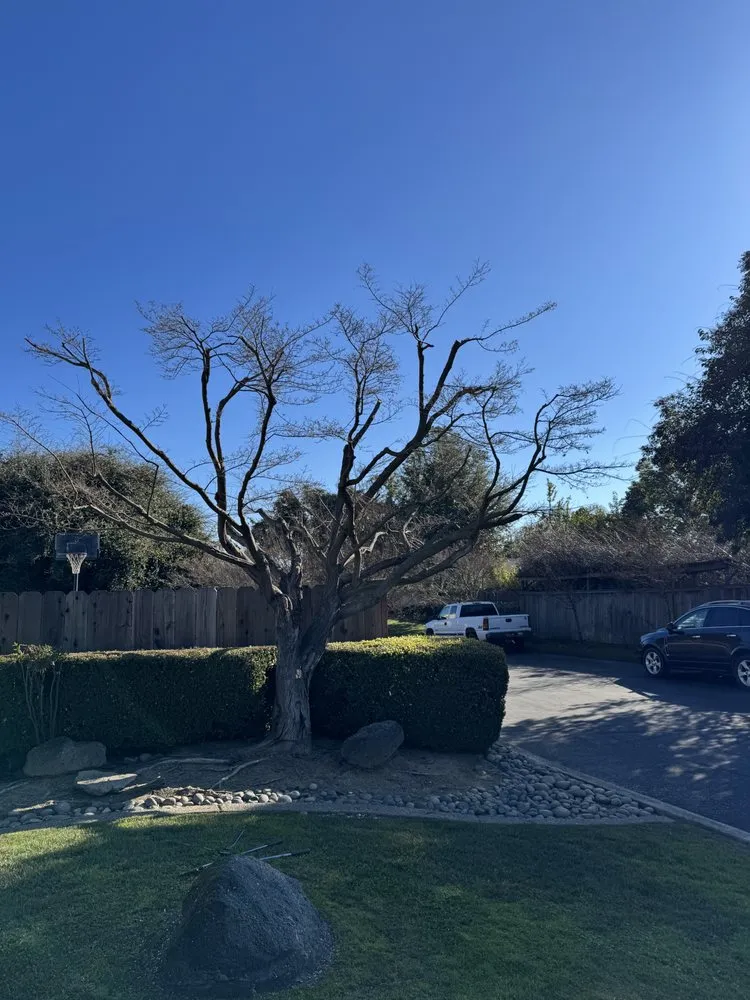 Local garden landscaping for beautiful yards in Lodi, CA by Clements Lawn Service & Maintenance