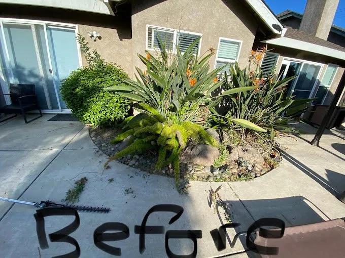 Custom outdoor landscaping experts serving Lodi, CA - Clements Lawn Service & Maintenance