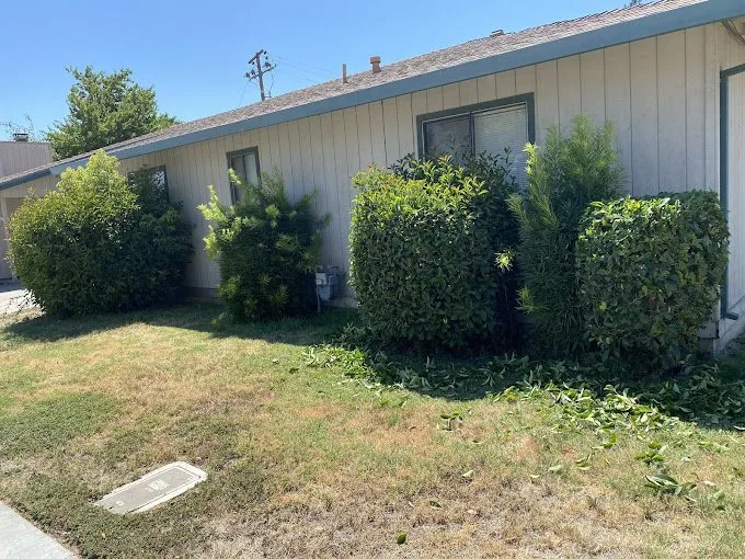 Custom yard cleanup service near you in Lodi, CA by Clements Lawn Service & Maintenance