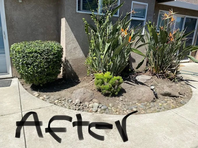 Professional outdoor landscaping experts serving Lodi, CA - Clements Lawn Service & Maintenance