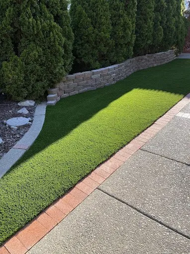 Affordable outdoor landscaping experts serving Lodi, CA - Clements Lawn Service & Maintenance