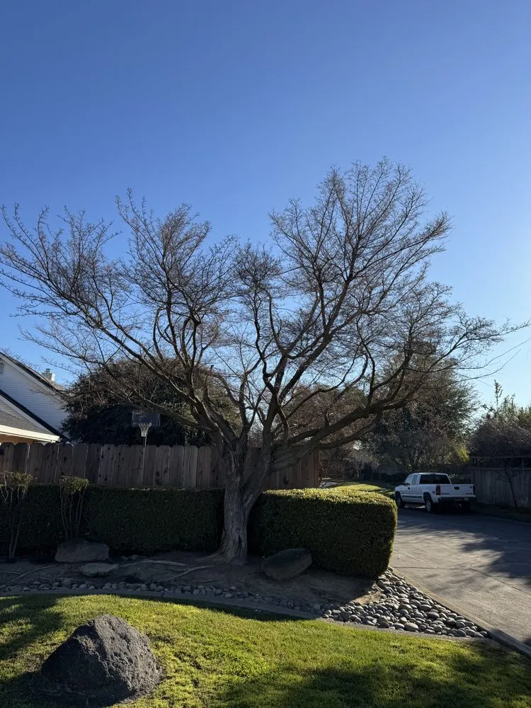 Custom outdoor landscaping near you in Lodi, CA by Clements Lawn Service & Maintenance