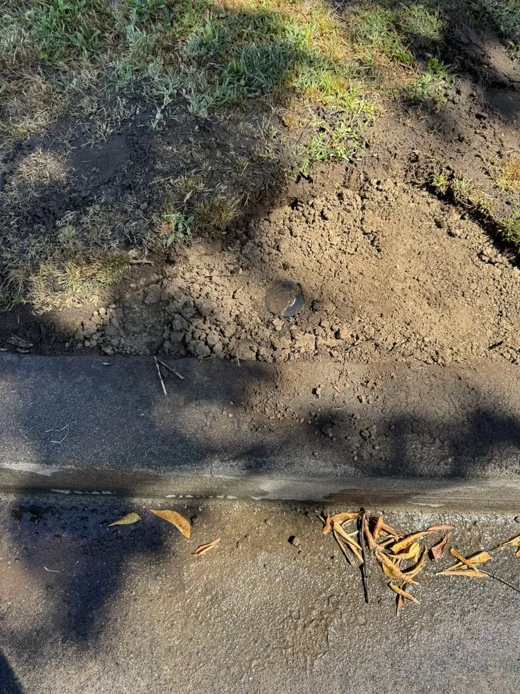 Professional landscape installation for outdoor upgrades across Lodi, CA - Clements Lawn Service & Maintenance