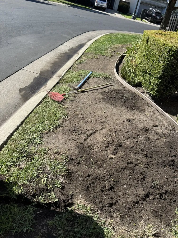 Expert landscaping services with custom design in Lodi, CA by Clements Lawn Service & Maintenance