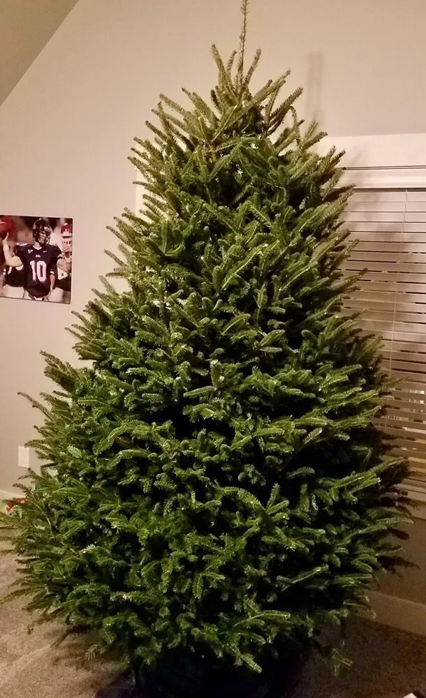 Custom lawn care service experts serving Burns, TN - Clements Lawn Service