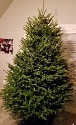 Clements Lawn Service