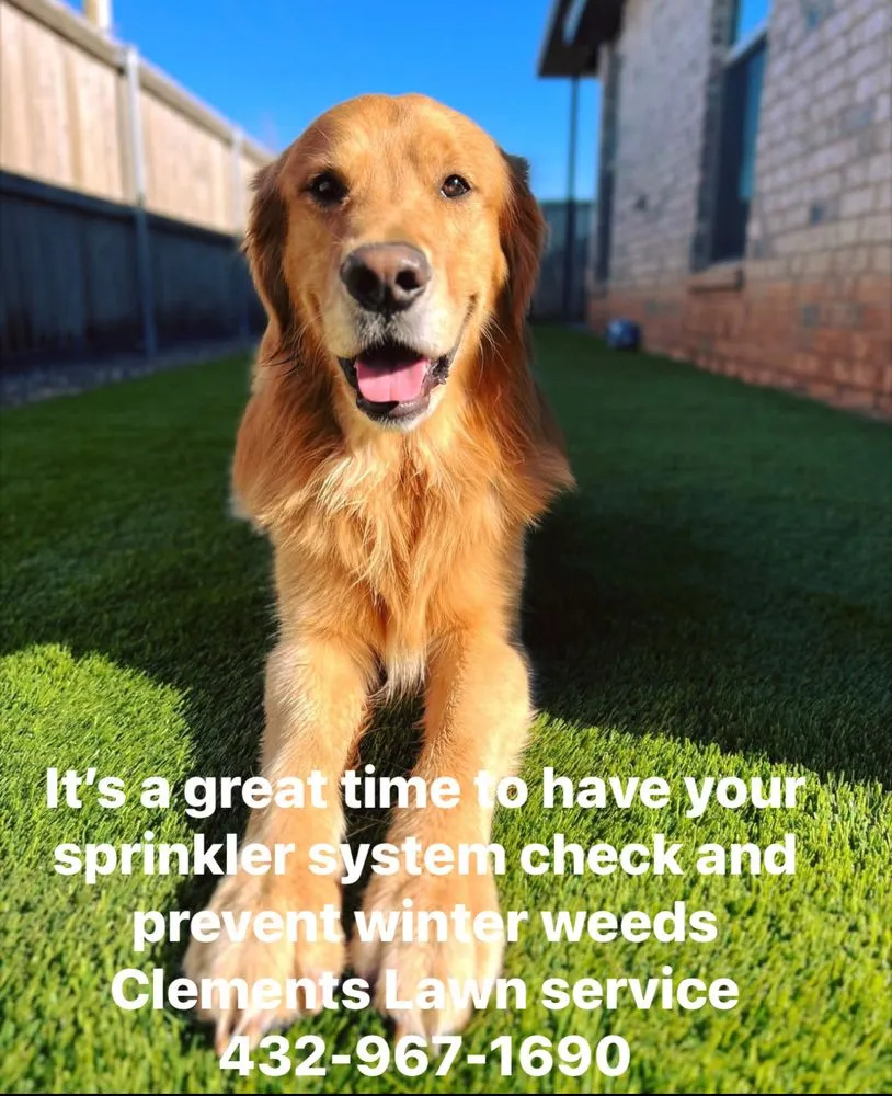 Local garden landscaping with custom design in Midland, TX by Clements Lawn Service