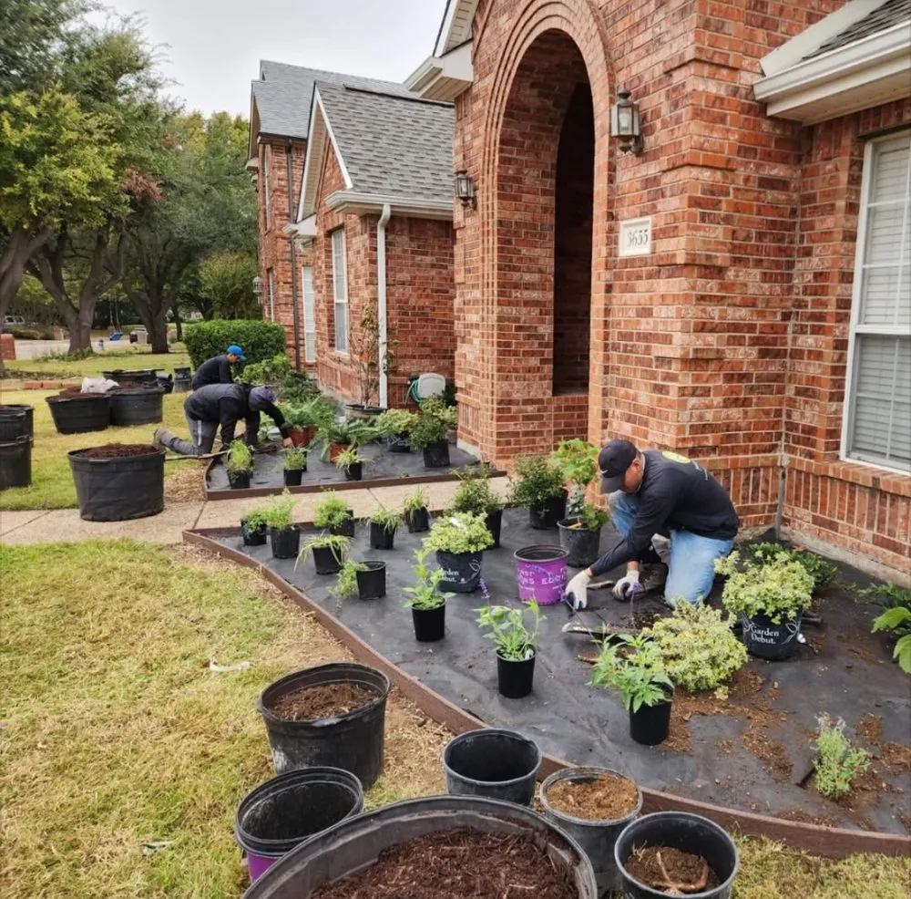 Custom yard cleanup service experts serving Midland, TX - Clements Lawn Service
