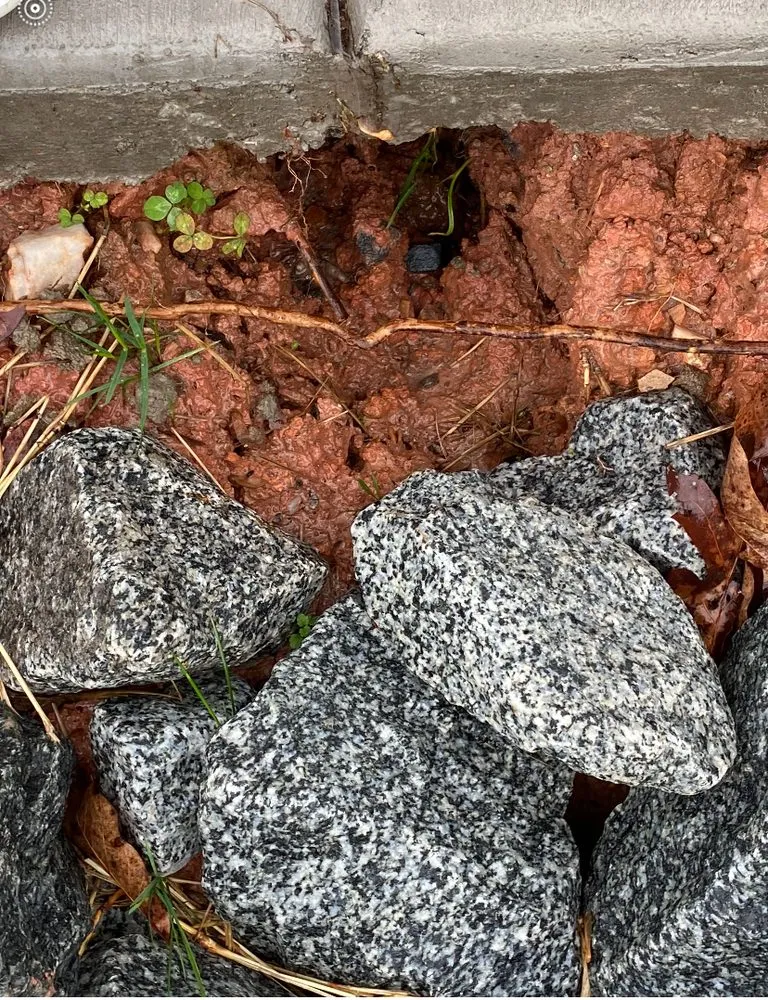 Trusted yard cleanup service in Lincolnton, NC - Clemmer's Landscape