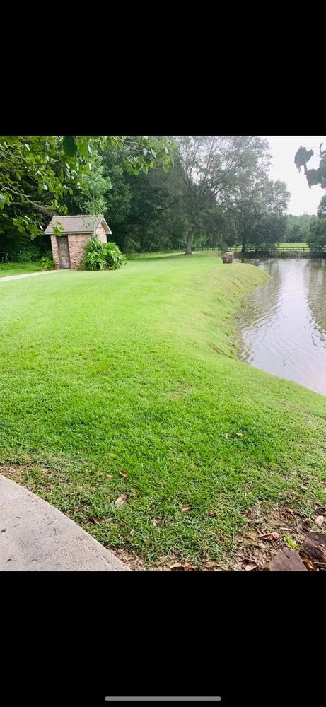Professional lawn care service in Denham Springs, LA by Clemons Lawn Care