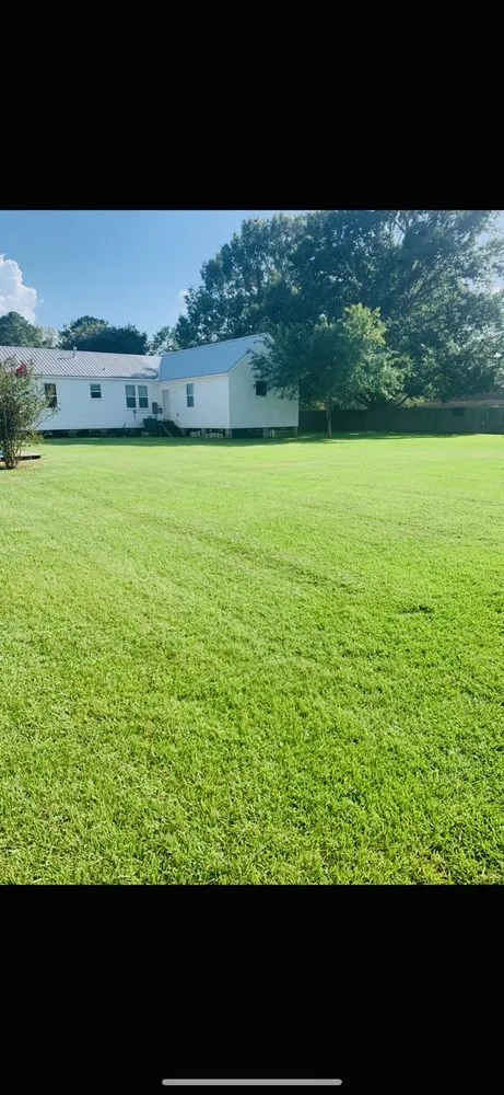Professional yard maintenance experts serving Denham Springs, LA - Clemons Lawn Care