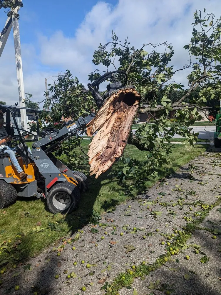 Affordable landscape installation experts serving Crown Point, IN - Clemons Tree Experts & Land Clearing