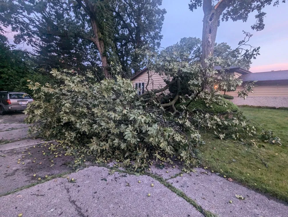 Expert garden landscaping for year-round maintenance across Crown Point, IN - Clemons Tree Experts & Land Clearing