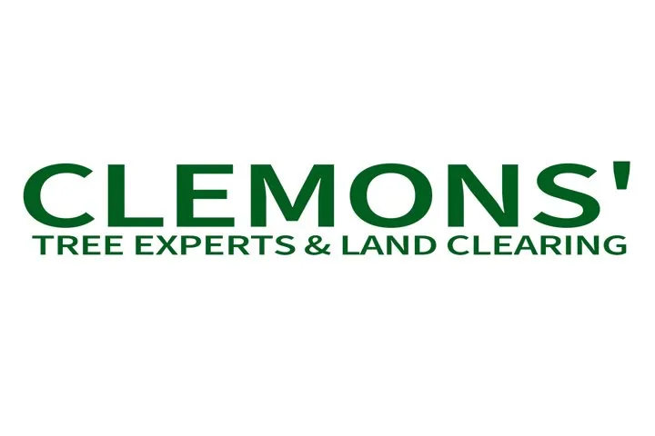 Local lawn care service experts serving Crown Point, IN - Clemons Tree Experts & Land Clearing