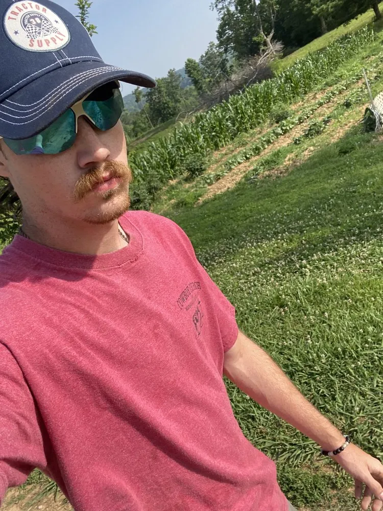 Affordable lawn mowing service experts serving Altoona, AL - Clent Grass Cutting
