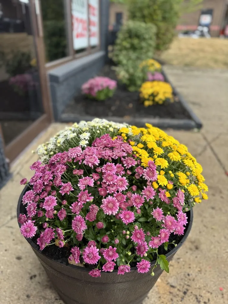 Reliable residential landscaping for year-round maintenance in Batavia, OH by Clermont Lawn and Landscaping Service