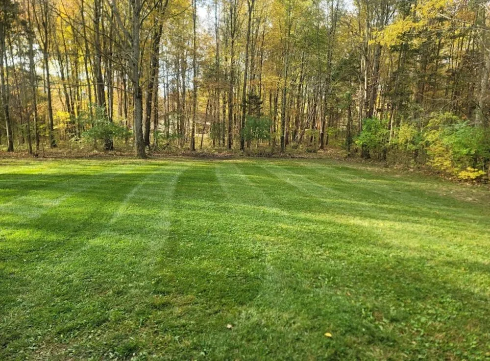 Expert landscaping services in Batavia, OH - Clermont Lawn and Landscaping Service