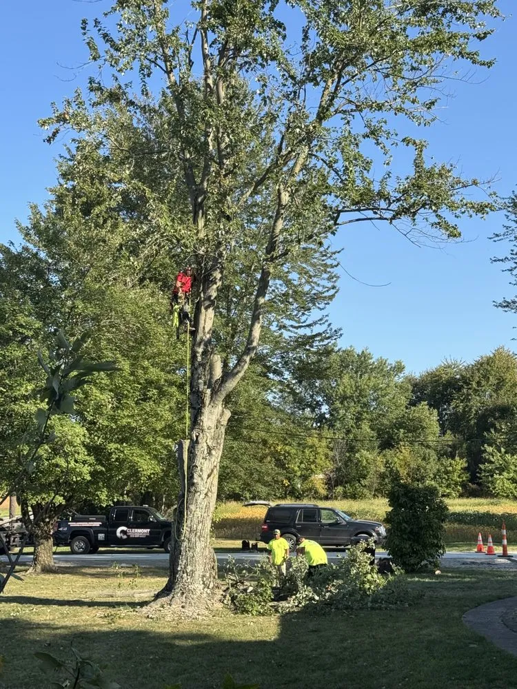 Professional residential landscaping experts serving Batavia, OH - Clermont Lawn and Landscaping Service