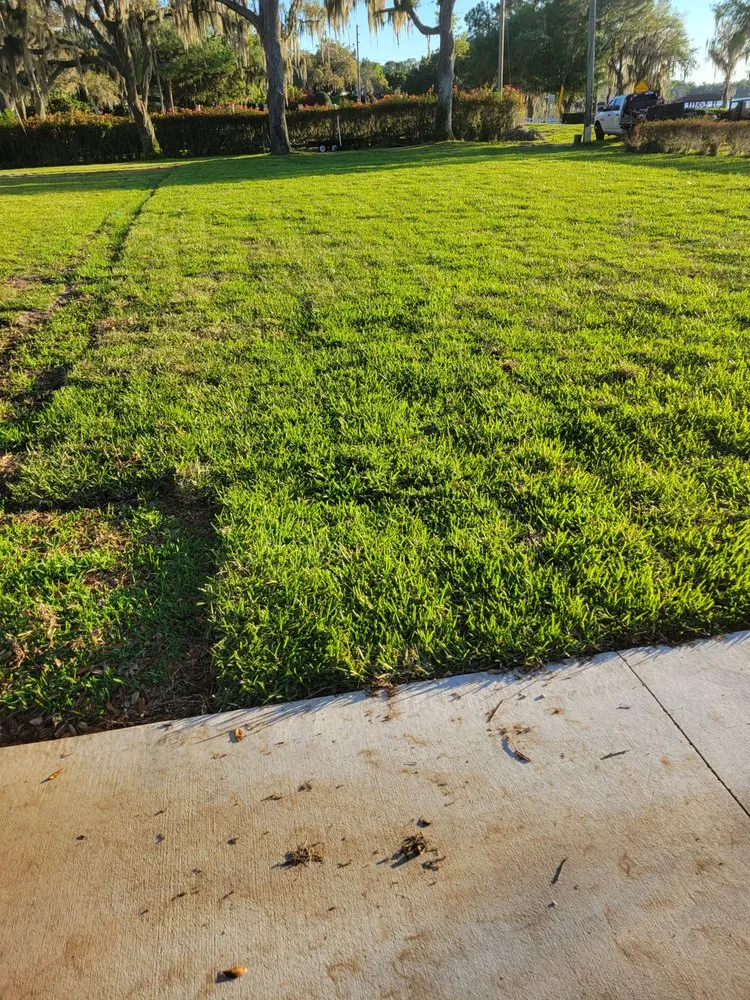 Custom landscape design for homes across Clermont, FL - Clermont Sod & Irrigation