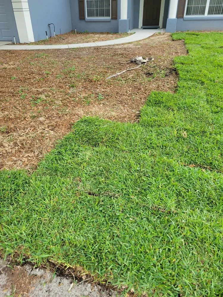 Custom yard cleanup service experts serving Clermont, FL - Clermont Sod & Irrigation
