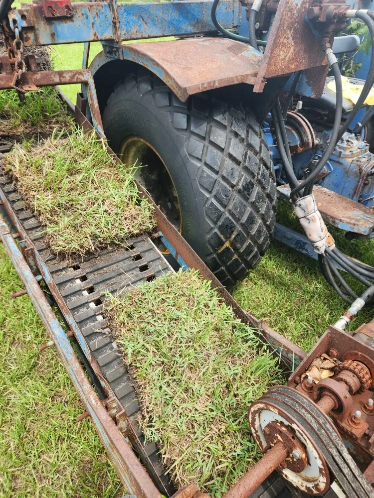 Custom yard cleanup service in Clermont, FL by Clermont Sod & Irrigation