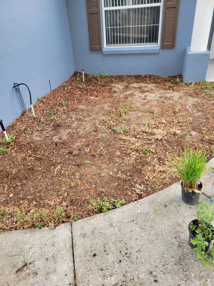Custom yard maintenance for residential properties in Clermont, FL by Clermont Sod & Irrigation