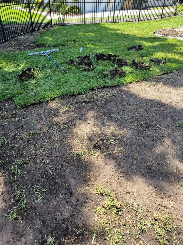 Local garden landscaping in Clermont, FL - Clermont Sod & Irrigation