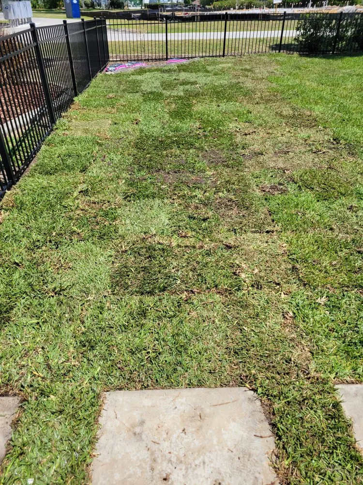 Professional lawn care service near you in Clermont, FL by Clermont Sod & Irrigation
