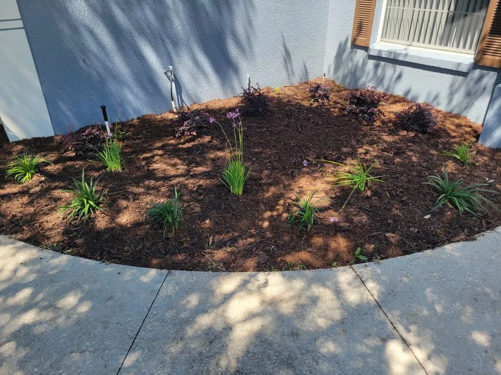 Custom outdoor landscaping near you in Clermont, FL by Clermont Sod & Irrigation