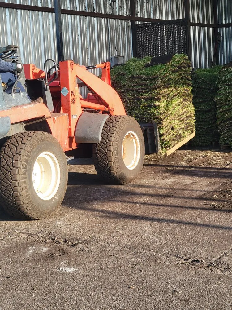 Expert landscaping services for year-round maintenance in Clermont, FL by Clermont Sod & Irrigation