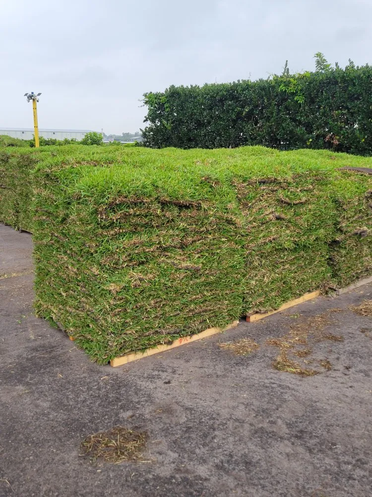 Expert landscaping services in Clermont, FL by Clermont Sod & Irrigation