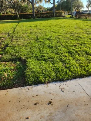 Clermont Sod & Irrigation Logo