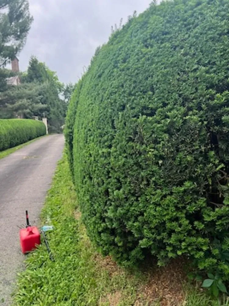 Custom garden landscaping for beautiful yards across Lexington, KY - Cleto's Landscaping