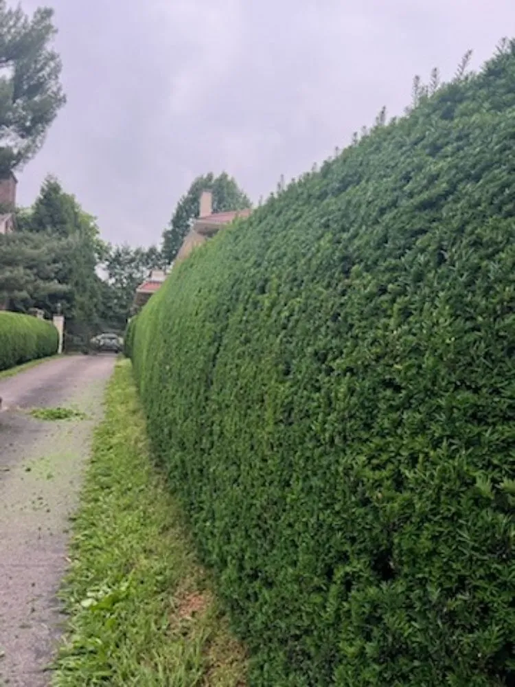 Local residential landscaping in Lexington, KY by Cleto's Landscaping