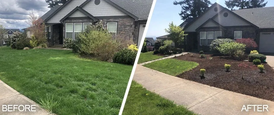 Top-rated lawn care service in Mayfield Heights, OH - Cleve Landscaping