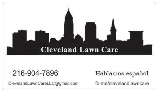 Professional yard cleanup service in Columbia Station, OH by Cleveland Lawn Care