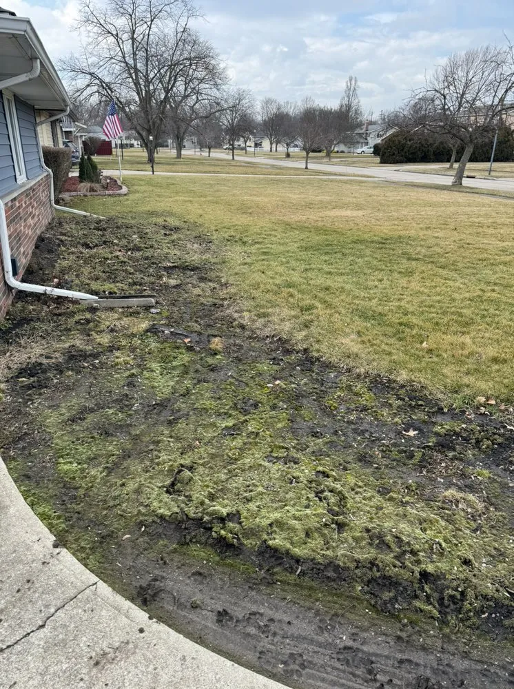 Custom residential landscaping in Fairview Park, OH - Cleveland Premier Liquidators